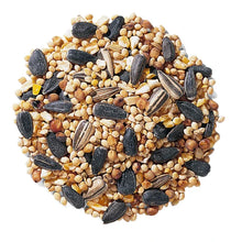 Pickup a DELUXE Box of 10 Luminaires - Picked up @ The Willow Street "Scout House"