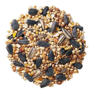 Pickup a DELUXE Box of 10 Luminaires - Picked up @ The Willow Street 